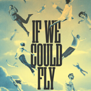 If We Could Fly Cover